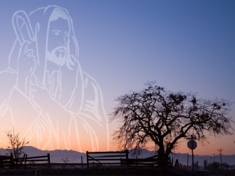 Good Shepherd in Outline