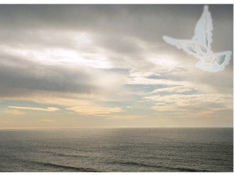 White Dove Flying over Ocean