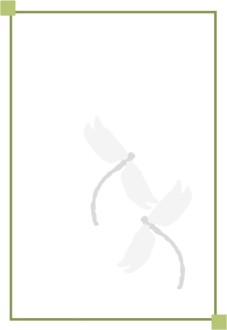 Two Dragonflies