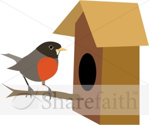 Robin Finds a Bird House
