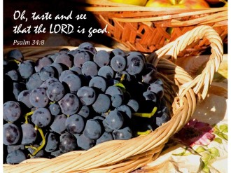Thanksgiving Taste and See with Psalm Thanksgiving Taste and See with Psalm