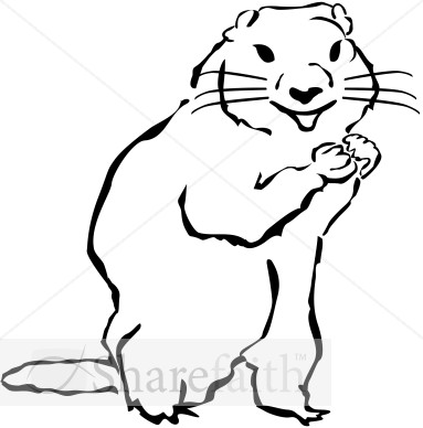 Groundhog