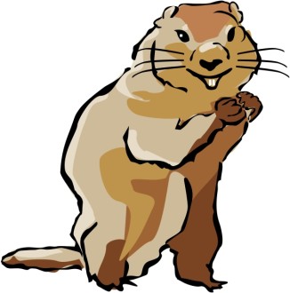 Groundhog in Color