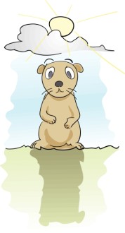 Groundhog Predicts More Winter