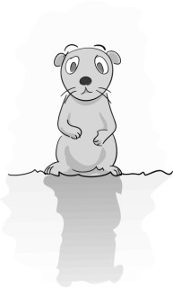 Groundhog in Gray