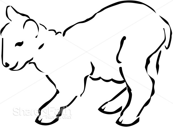 Line Art of a Lamb