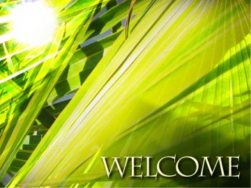 The Triumphal Entry