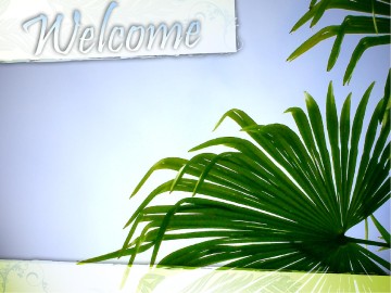 Palm Sunday with Blue Sky