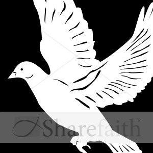 White Dove on Black Background | Dove Clipart