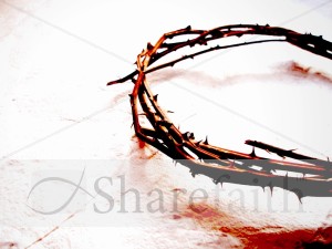 Crown of Thorns in Color