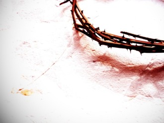 Crown of Thorns in a Corner