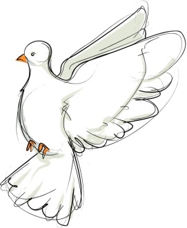 Flying Dove Sketch Facing Left