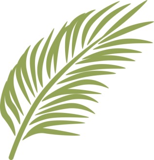 Single Palm in Calming Green