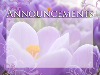 Announcements with Purple Flowers