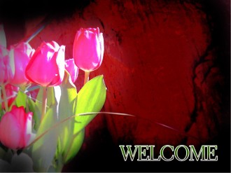 Tulips with Welcome