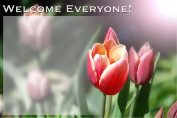 Beauty of God with Tulips