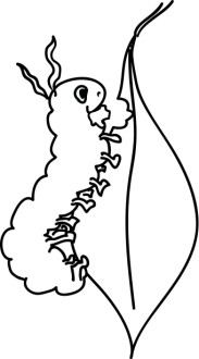 Caterpillar and Leaf