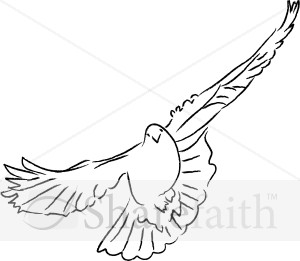 Dove Facing Forward