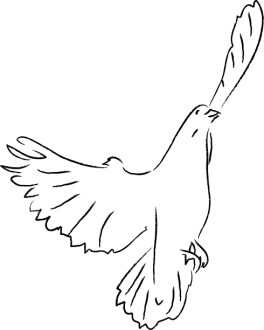 Black and White Dove Ascending
