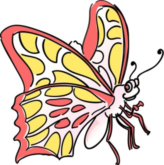 Friendly Butterfly