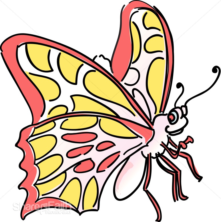 Friendly Butterfly