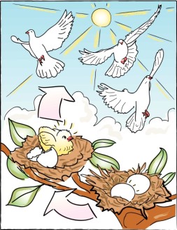 Eggs to Birds in Color