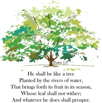 A Tree Planted by Rivers