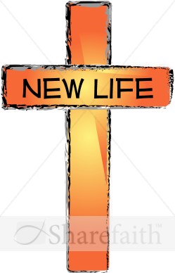 New Life and Cross