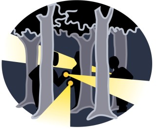 Trees and Flashlights
