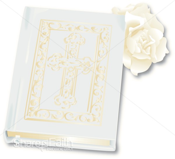 Realistic Bible and Rose