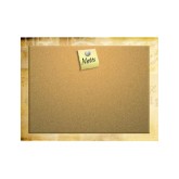 Cork Board for Notes