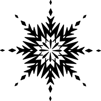 Black and White Ice Crystal Snowflake