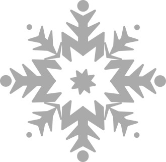 Snowflake in Gray Scale