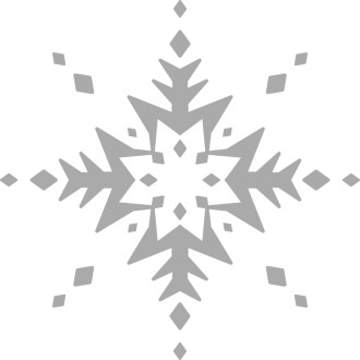 Unique Grayscale Snowflake