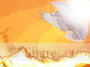 Dove and Fire Photo Background