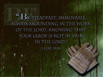 Labor PowerPoint