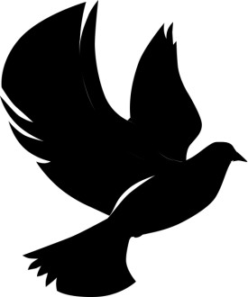 Flying Dove in Silhouette