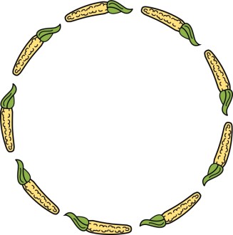 Corn on the Cob Round Border