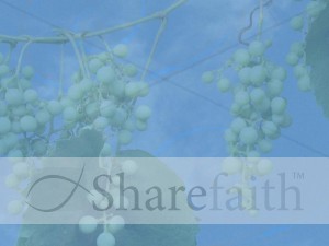 Grapes on a Vine Christian Background