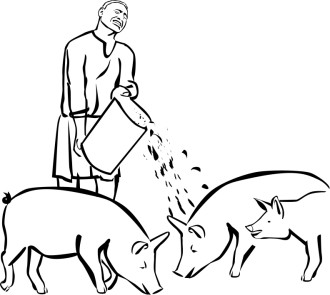 Prodigal Son Feeding Pigs Clipart