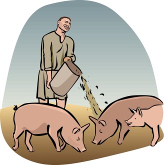 Prodigal Son Feeds Swine Clipart