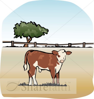 The Fatted Calf