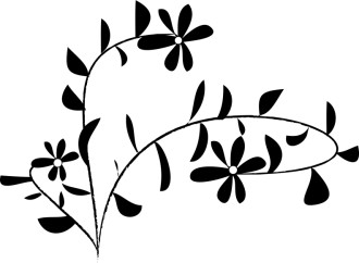 black and white daisy accent