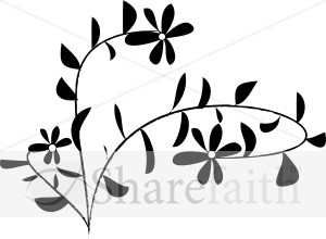black and white daisy accent