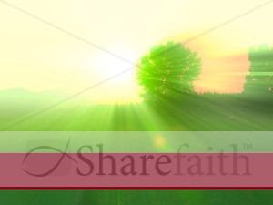 Bright Light and Holy Spirit
