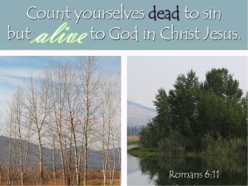 Alive in Christ Slideshow