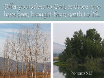 Alive in Christ Slideshow