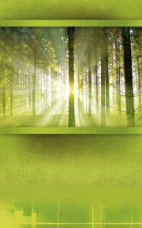 Radiant Church Bulletin Cover