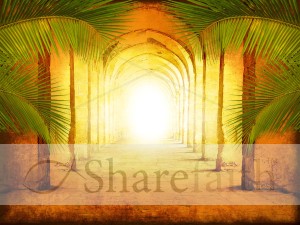 Palm Sunday Worship Background