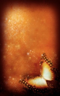 Butterfly Church Bulletin Cover